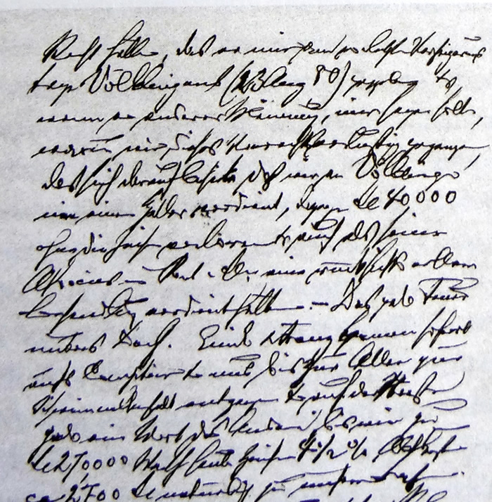 Brief Carl Röchlings an seinen Bruder Theodor 1881